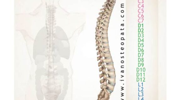 Columna interactiva